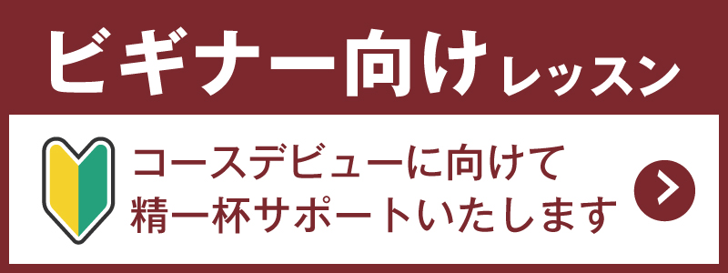 ビギナー向けレッスン